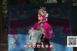 小二姐做梦