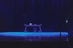 狸猫换太子 8