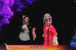 花为媒 抗疫报花名