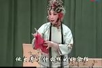 绣鞋记 借当一折