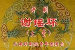 谢瑶环 大堂（一折）