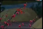 出了城池过了关