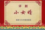 小女婿 【全程高能】