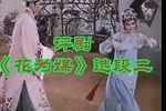 花为媒 选段二下载