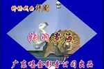 张羽煮海 全剧