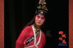 窦娥冤