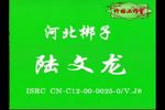 陆文龙