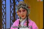 双错遗恨 选段