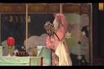 双错遗恨