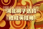 穆桂英挂帅