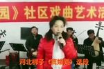 窦娥冤 选段