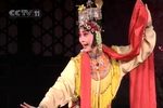 宝莲灯 2005年实况