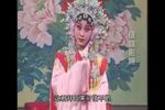 打金枝