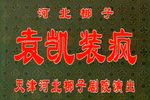 袁凯装疯 天津音像