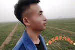 舞台下载