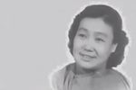 窦娥冤 上集