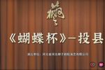 蝴蝶杯·投县