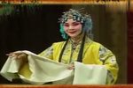 打金枝