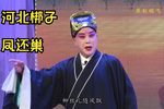 凤还巢