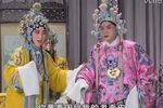 打金枝·劝婿