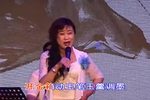 打金枝 上集