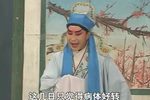 秦雪梅吊孝