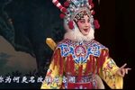 南北合