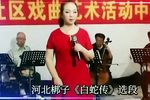 白蛇传 辛集市民间文艺演唱会