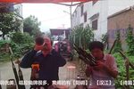 河南曲剧