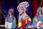 打金枝 选段