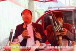 河南曲剧