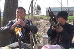 河南越调