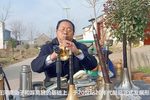 河南曲剧