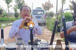河南曲剧