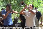河南曲剧
