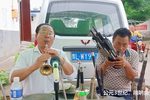 河南曲剧