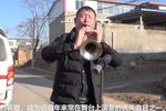 黄土情