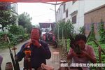河南曲剧