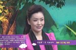 梨园春擂台赛少儿总决赛 HD