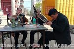 传统河南曲剧