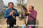 河南越调