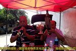 河南越调