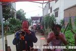 河南曲剧