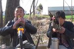 河南越调