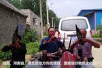 河南越调