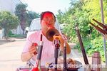 河南曲剧