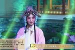 梨园春擂台赛 HD版下载