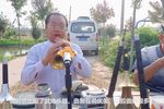 河南曲剧