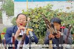 河南曲剧
