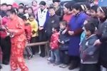 百鸟朝凤